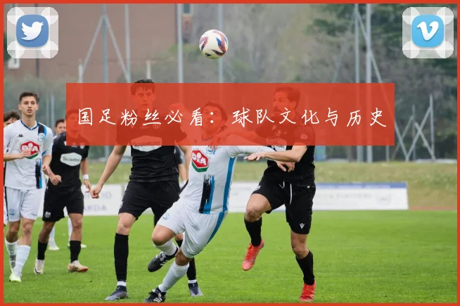 国足粉丝必看：球队文化与历史