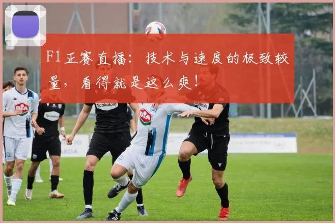 F1正赛直播：技术与速度的极致较量，看得就是这么爽！